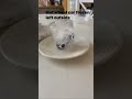 Hot wheel frozen