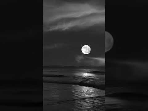 شو كانت حلوة الليالي