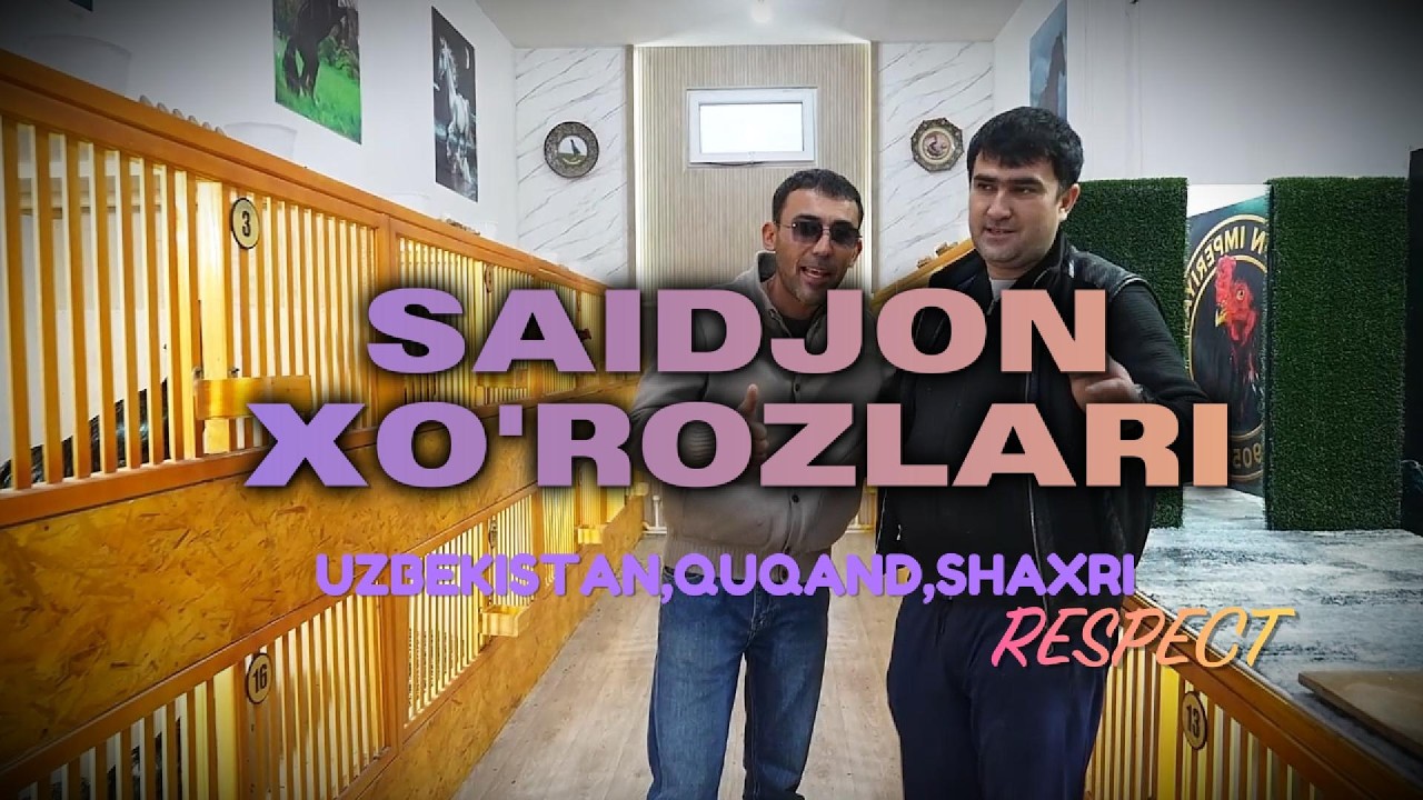 Qo‘qonlik Saidjon xo‘jaligi — Zotli Xo‘rozlar, Parvarish va Hayotiy Tajriba | Sayohat & Obzor