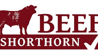 Beef Shorthorn judging at Carlisle 8.30am on Friday 22nd May 2026