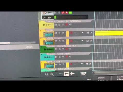 Applying The ECHO in Reason 12