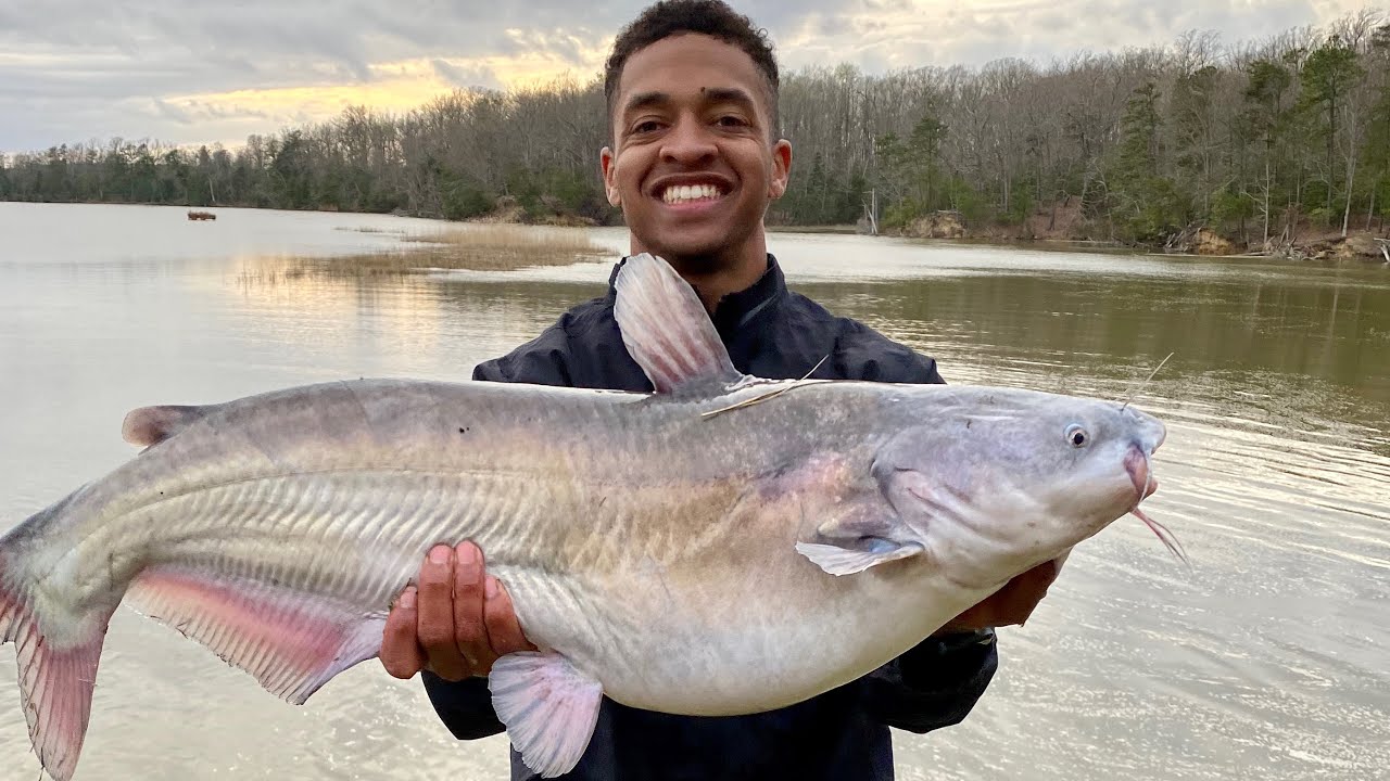 CATFISHING on the James River YouTube