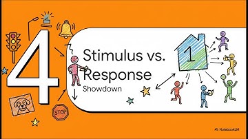 Stimulus vs Response Generalization B-14