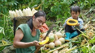 With the boy harvesting corn, farm life, survival alone