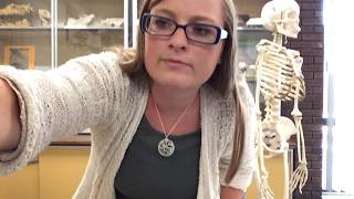 Dr. Mayberry talks Fibula Landmarks