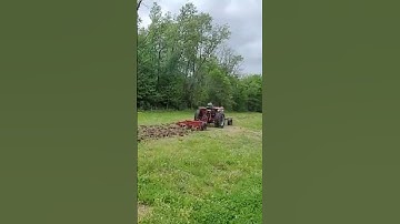 Farmall 826 with Pull-Type Chisel Plow #farmallfanatic #shorts