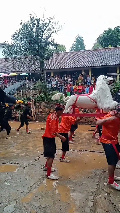 Kesenian Sunda, Demonstrasi Rajawali dan Singa Depok #shortvideo