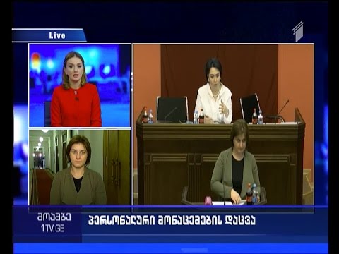 თამარ ქალდანის ანგარიში პერსონალურ მონაცემთა შესახებ