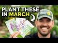 9 crops youd be foolish not to plant in march