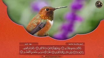 تلاوة نَدية من سورة الرحمن بصوت الشيخ عبد الباسط عبد الصمد رحمه الله