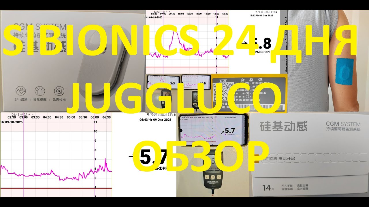 Обзор работы Sibionics (Сибионикс) на 24 дня с программой Juggluco (Джаглоко/Джаглюко)
