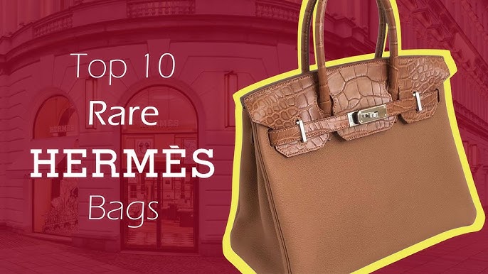 10 Most Expensive Birkin Bags Ever Made 