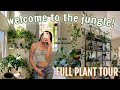 My 100 houseplant tour in the new house beginner to expert level 