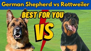 German Shepherd vs Rottweiler In Hindi | Which Dog Is Better For You | Dog vs Dog