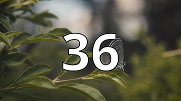 36 Second Countdown Timer With Alarm Sound At the End(Simple Beep)