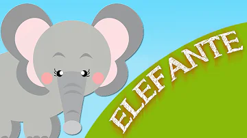 O que podemos aprender com o elefante?