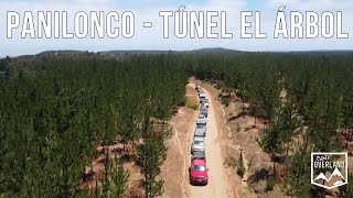 Panilonco - El Arbol Tunnel: A Blend of Beach and History / OverlandStyle / 4K