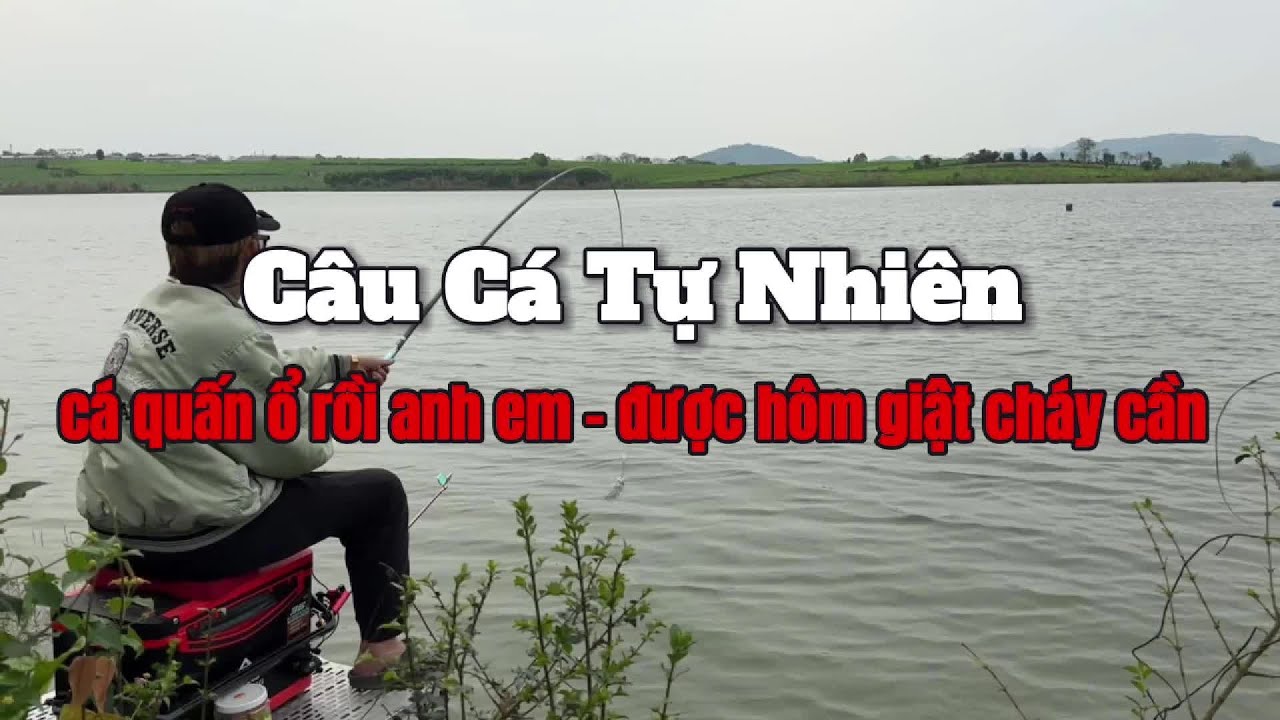 Câu Cá Tự Nhiên - Sông Sào Nghĩa Đàn - Cá quấn ổ giật cháy cần