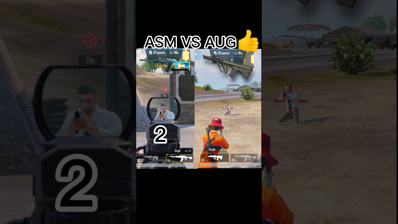 ASM VS AUG👍 