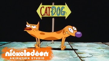 "CatDog" Theme Song (HQ) | Episode Opening Credits | Nick Animation
