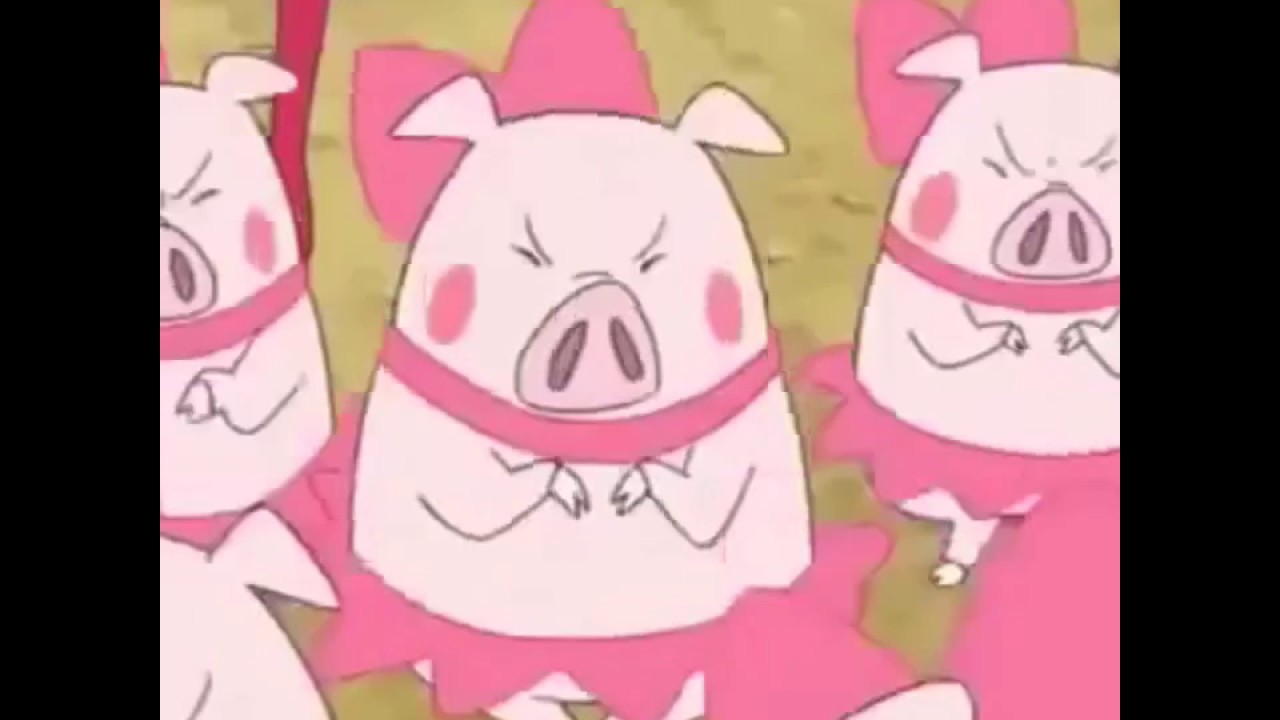 Shin-Grips, Exasseltary, Klink