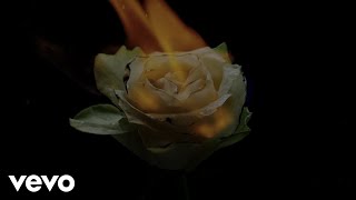 Florian Picasso - Like You Do (Lyric Video) Ft. Gashi, Ally Brooke