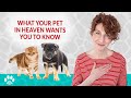 My Cat or Dog Just Died - How to Handle Passing of a Pet Right Now