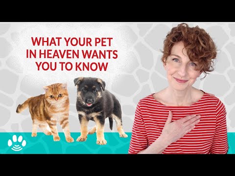 Video: How To Recover From The Death Of A Pet