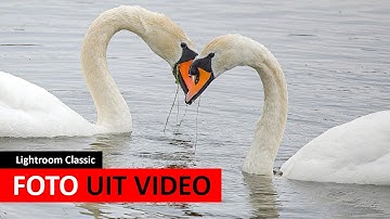 Lightroom Classic | Foto uit 4K- en 8K-video halen (Dutch)