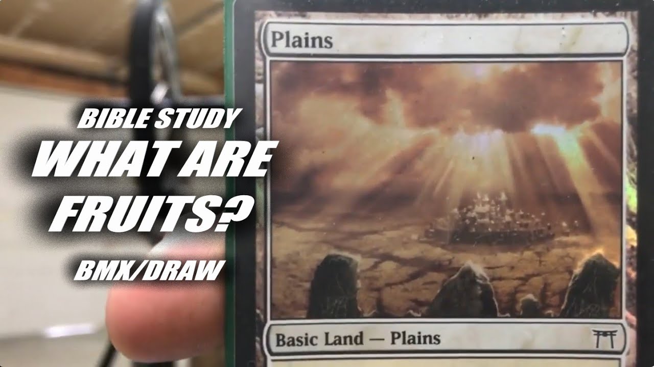 Day 796 What Are Fruits? Bible Study (Bike/Art Drawing Full Stream)