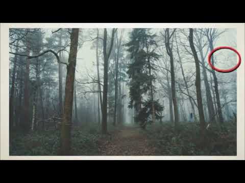 ხარ თუ არა ჭკუიანი?