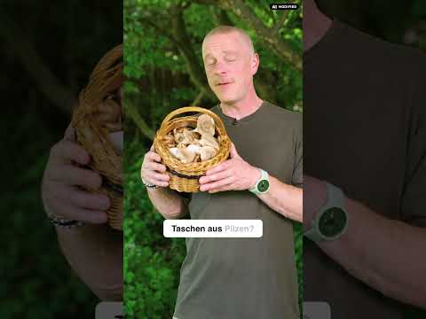 SUBSTANCE - neue Podcastfolge zum Thema PILZE
