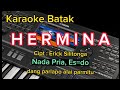 Karaoke Batak &amp; Lirik | HERMINA | dang parlapo alai parmitu