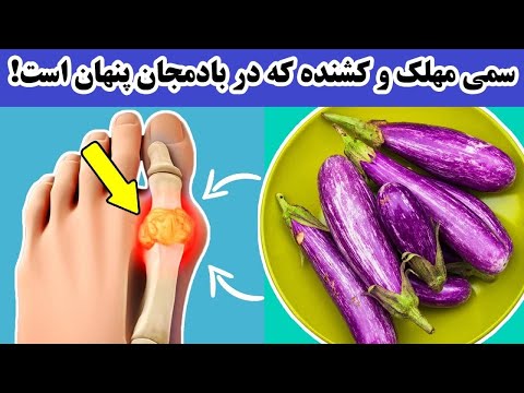 آنچه در مورد بادمجان باید بدانید!