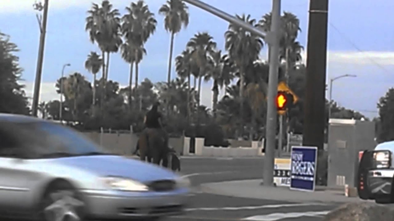 Man and Woman on Horseback Cross Intersection with Miniature Horse In Tow