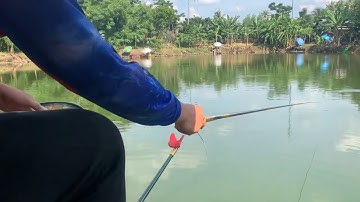 CÂU ĐÀI MỒI VUỐT SIÊU TỐC ĐỘ