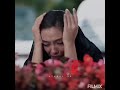 سيدي واقف انا بي بابك يمين كلك حنان حالات واتس