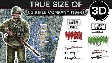 How the US Goes to War? - Anatomy and Tactics of an Army Rifle Company (June 1944) 3D DOCUMENTARY