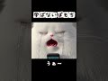 学ばないぽもち #shorts #猫アニメ #猫