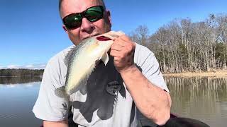 The BEST Color Jig Ever!  In stained to muddy water!  Crappie Fishing