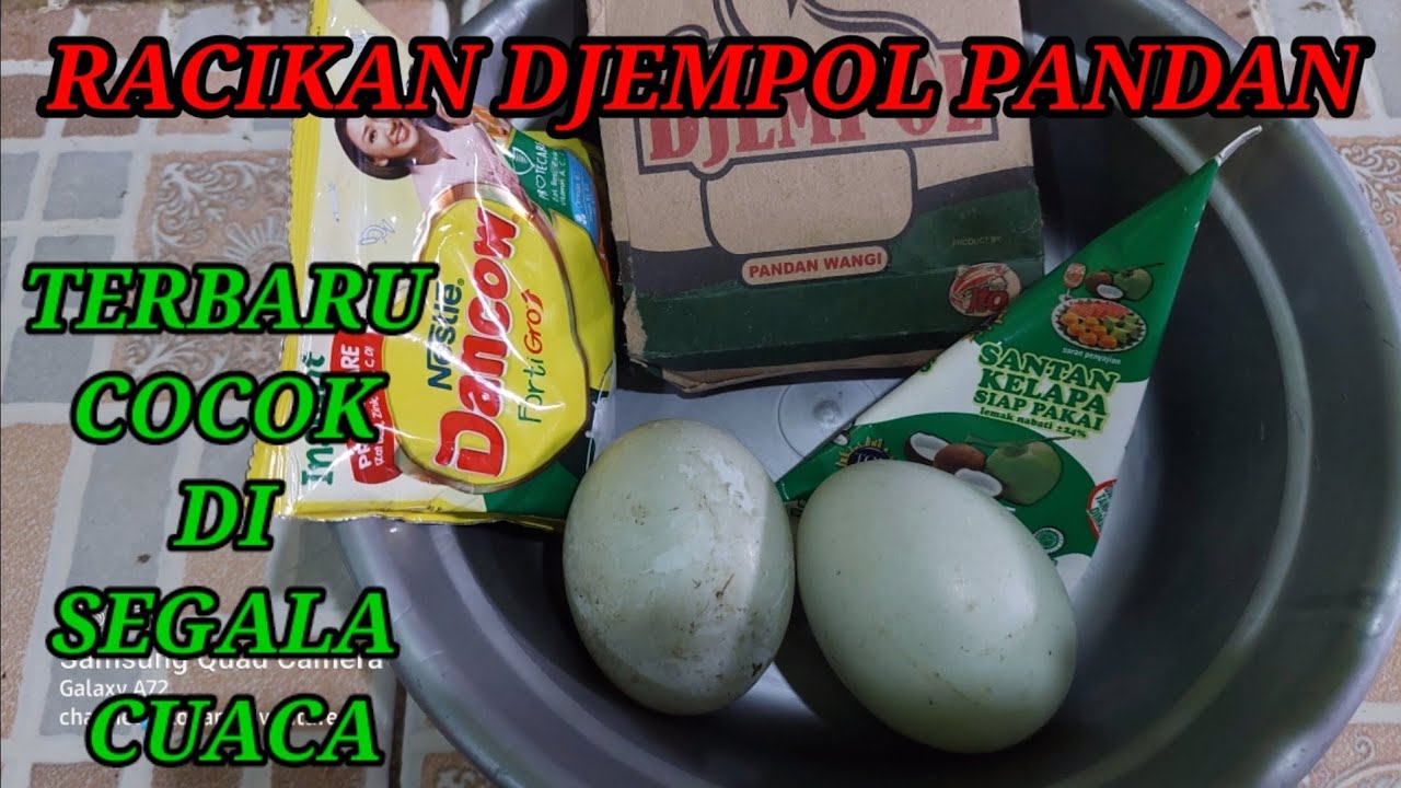 UMPAN RACIKAN DJEMPOL PANDAN WANGI TERBARU COCOK DI SEGALA CUACA