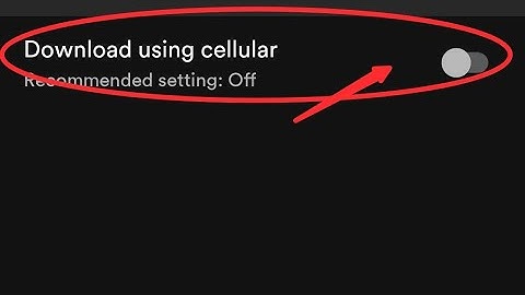 Spotify lite me download using cellular kaise on kare, how to on download using cellular in Spotify