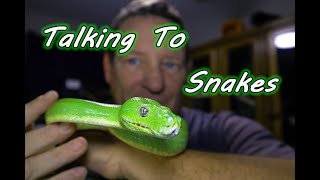 How To Understand Your Snake's Behavior & How To Handle Based On What They Show