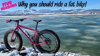 Five Reasons Why You Should Ride A Fat Bike | Top Five Reasons | fatbike