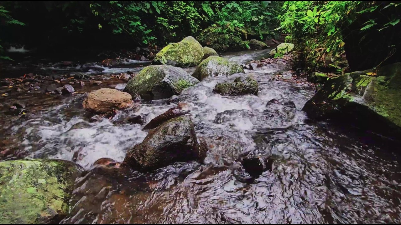 Tranquil River Ambience – Soft Water Flow for Sleep and Concentration
