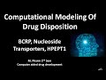 BCRP, Nucleoside Transporters, hPEPT1 || Computational Modeling Of Drug Disposition #pharmalessons