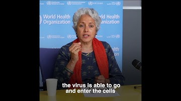 Q&A: update on the Delta Variant