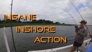 Inshore Action with Miss Judy Charters