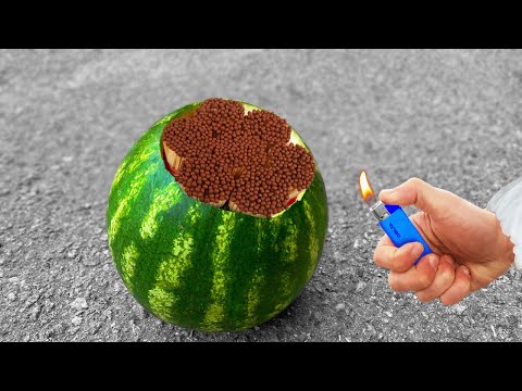 Видео: 12 Amazing tests with Watermelon | Best Experiments Compilation