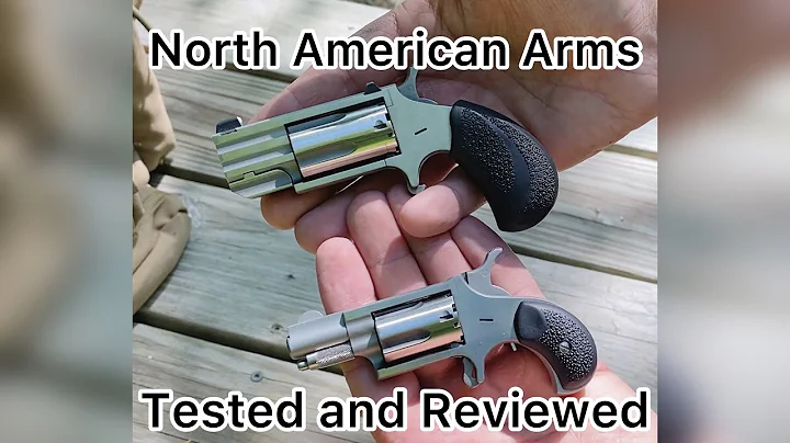 22lr and 22mag review North American Arms Super Micro Carry